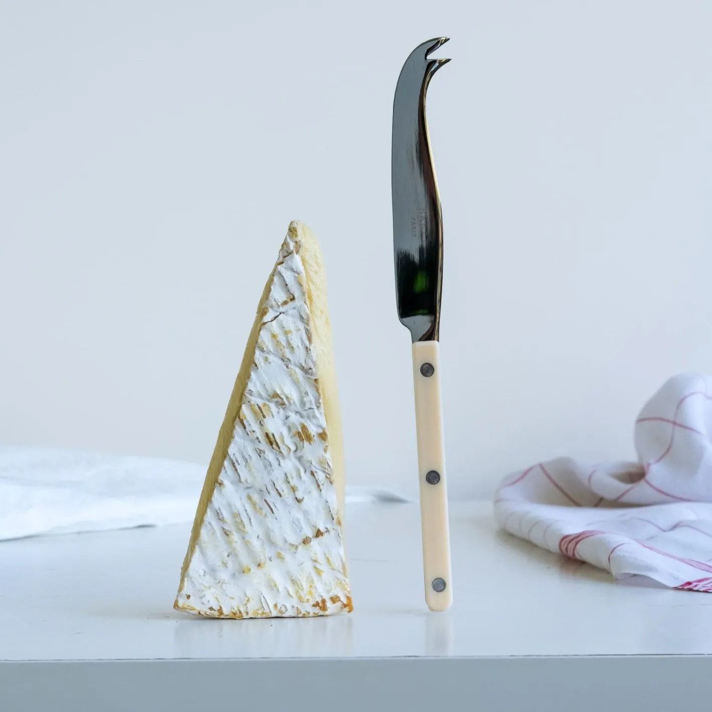 Sabre Paris Bistrot Solid, Ivory | Cheese Knife