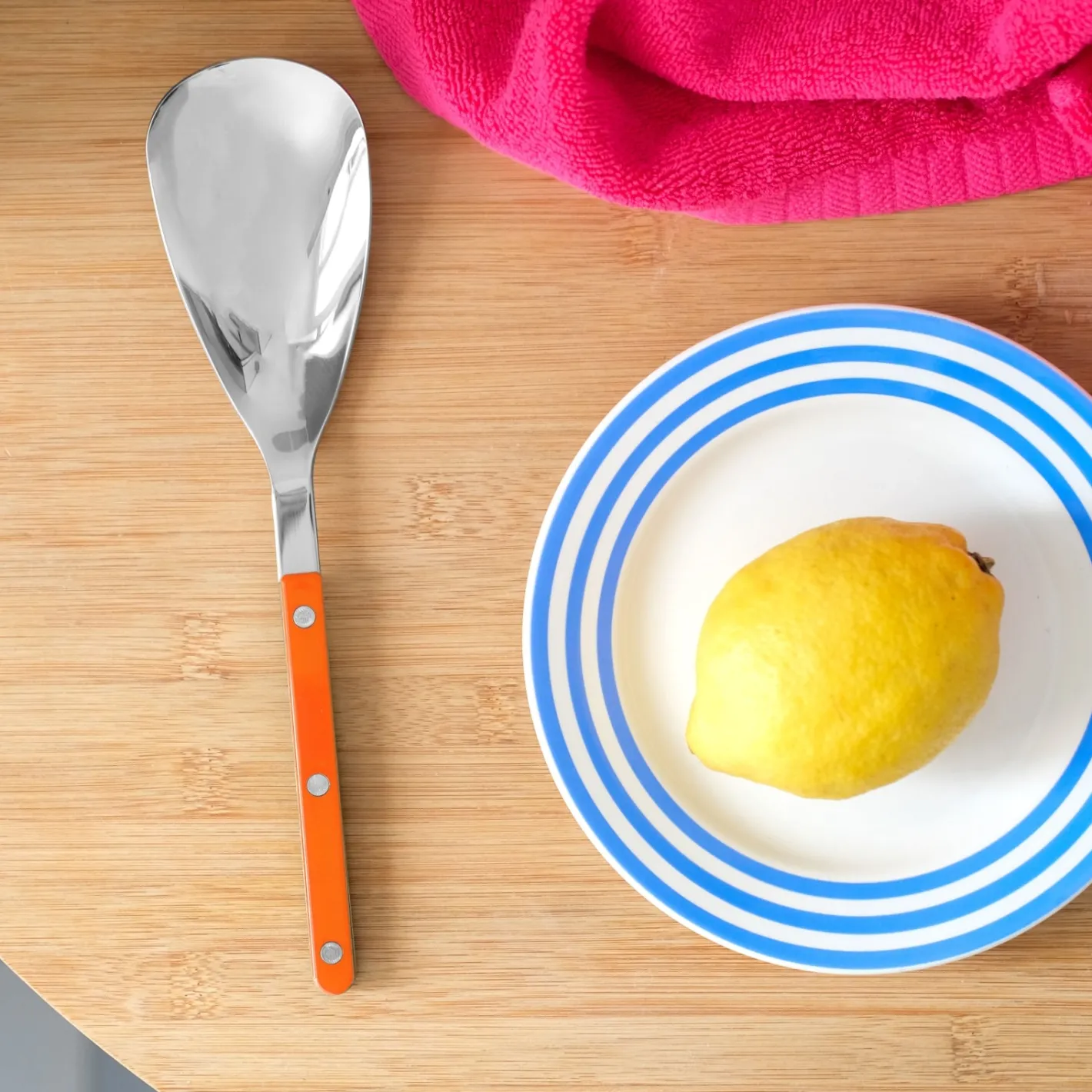 Sabre Paris Bistrot Solid, | Rice Spoon