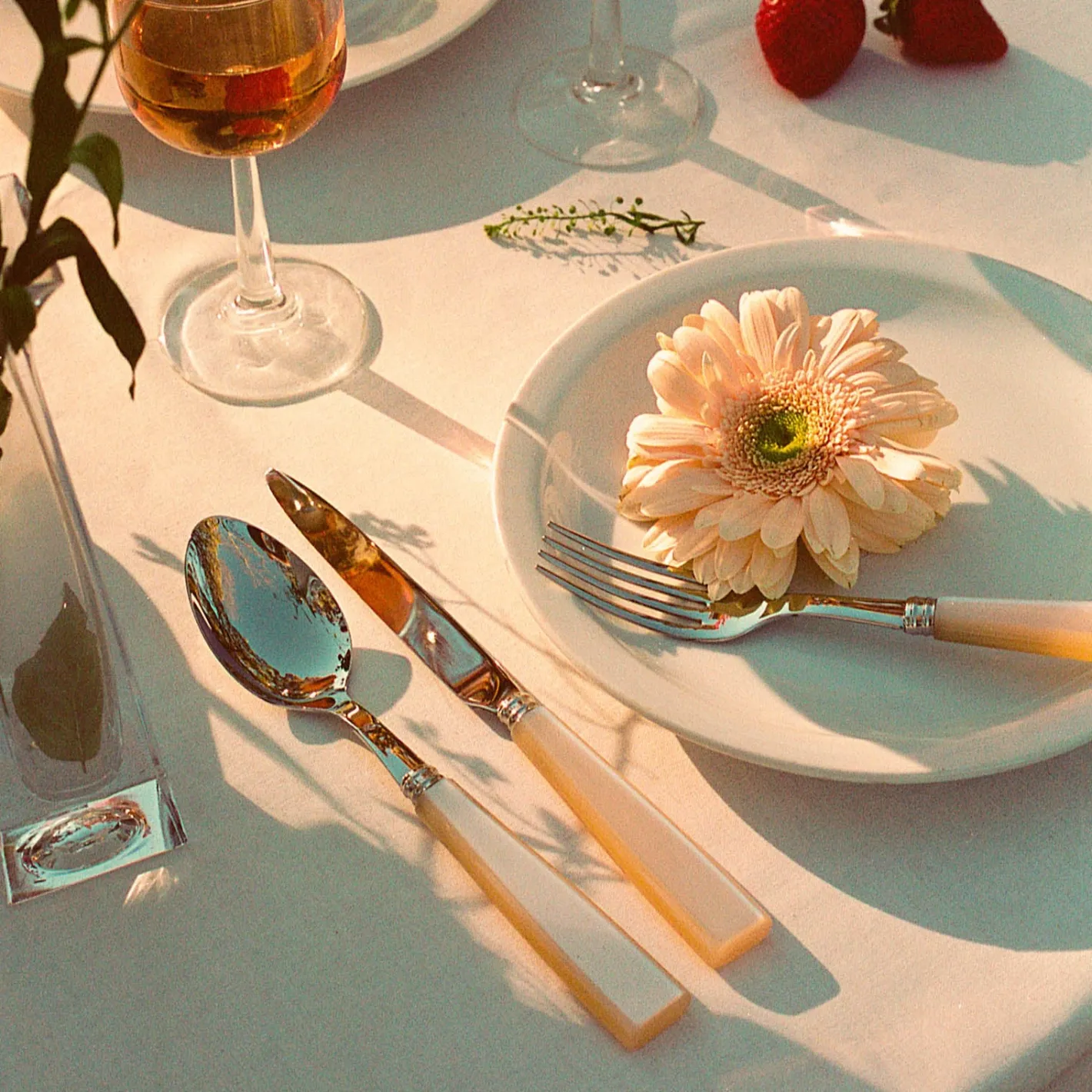 Sabre Paris Icône, | Dinner Knife